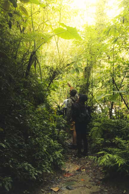 image n.13 of From Medellin Waterfalls: Guided Hiking Tour in Nature activity in Medellin, uploaded by supplier