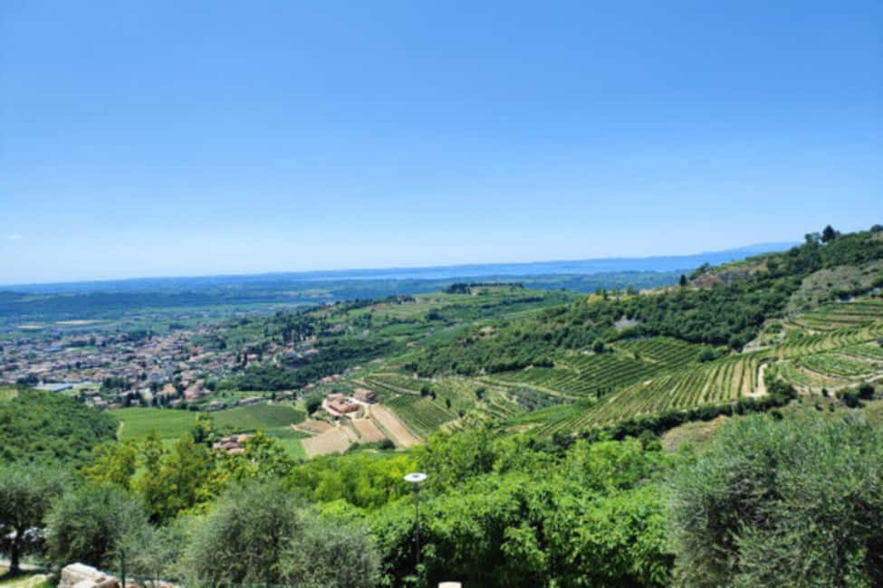 Immagine nº 2 di Da Verona: Tour di mezza giornata per la degustazione di vini Amarone attività a Verona, caricata dal fornitore