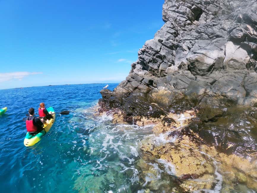 image n.55 of Tenerife: Kayak & Snorkel with Turtles & Dolphins w/Photos activity in Los Cristianos, uploaded by supplier
