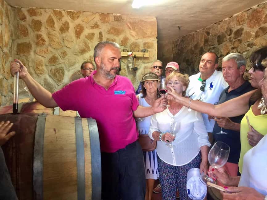 imagen n.º 18 de Málaga: Visita a viñedos y bodegas con 6 vinos de primera y tapas actividad en Málaga, subida por el proveedor