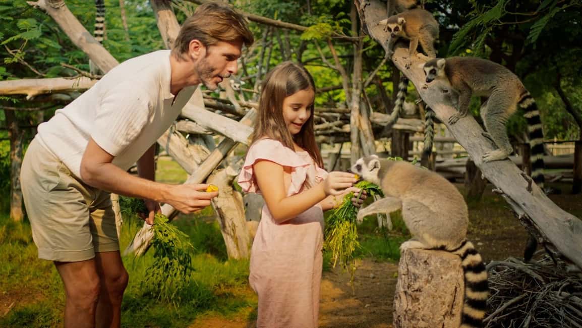 image n.8 of Dubai: Dubai Safari Park Entry Pass activity in Dubai, uploaded by supplier