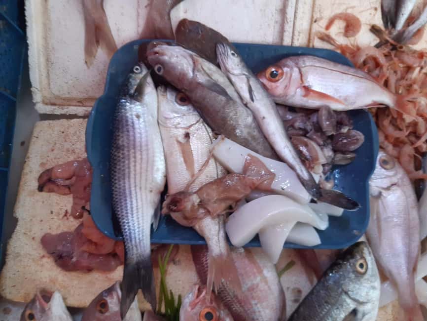 image n.14 of Essaouira Day Trip from Marrakech _ medina, old port activity in Essaouira, uploaded by supplier