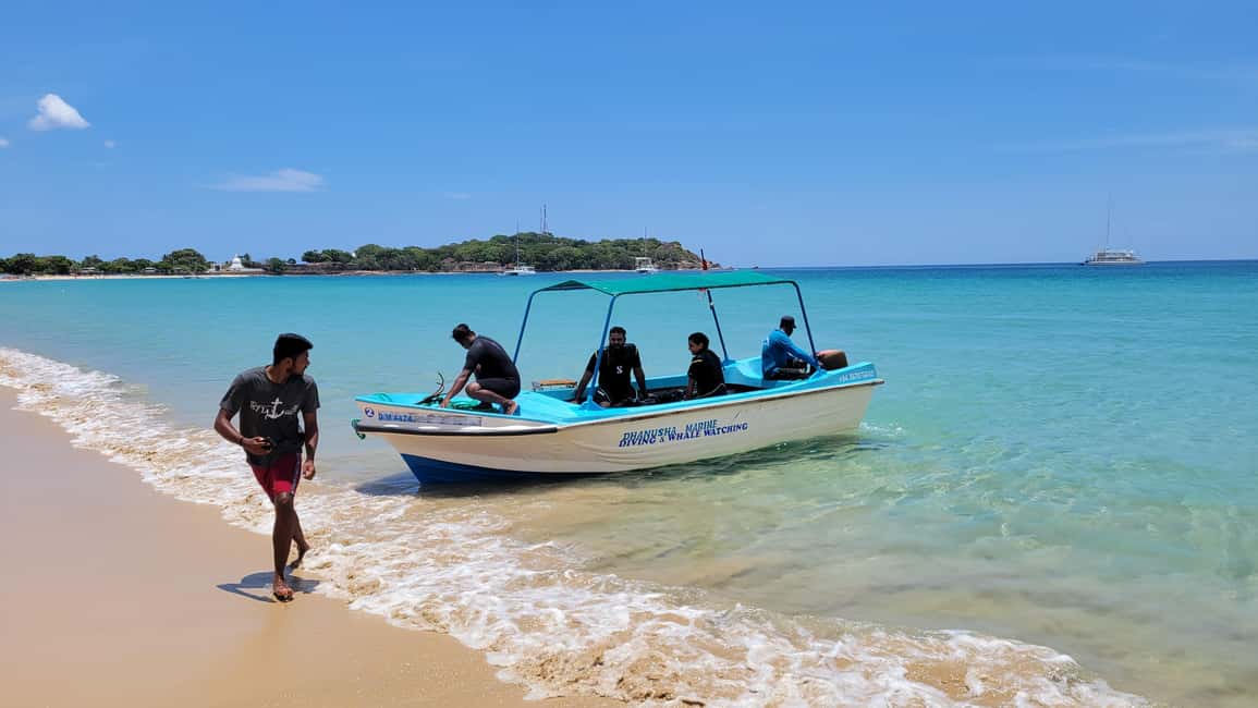 image n.7 of Trincomalee: Whales & Dolphin Watching Tours activity in Nilaveli, uploaded by supplier