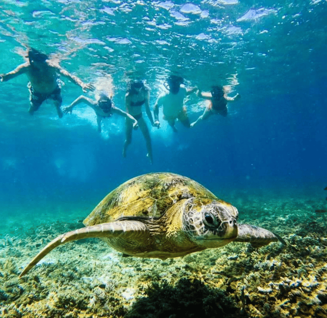 billede nr.19 af aktiviteten Koh Tao: Koh Nangyuan & Hidden Bays snorkeltur med frokost i Thailandbugten, uploadet af udbyder