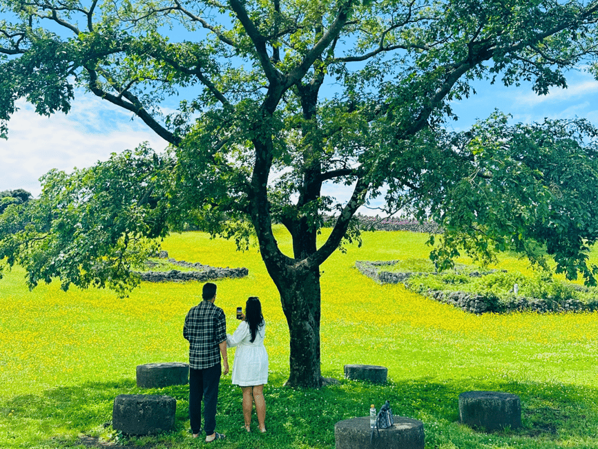 image n.6 of Jeju island : West & South Full-Day Tour activity in Seogwipo-si, uploaded by supplier