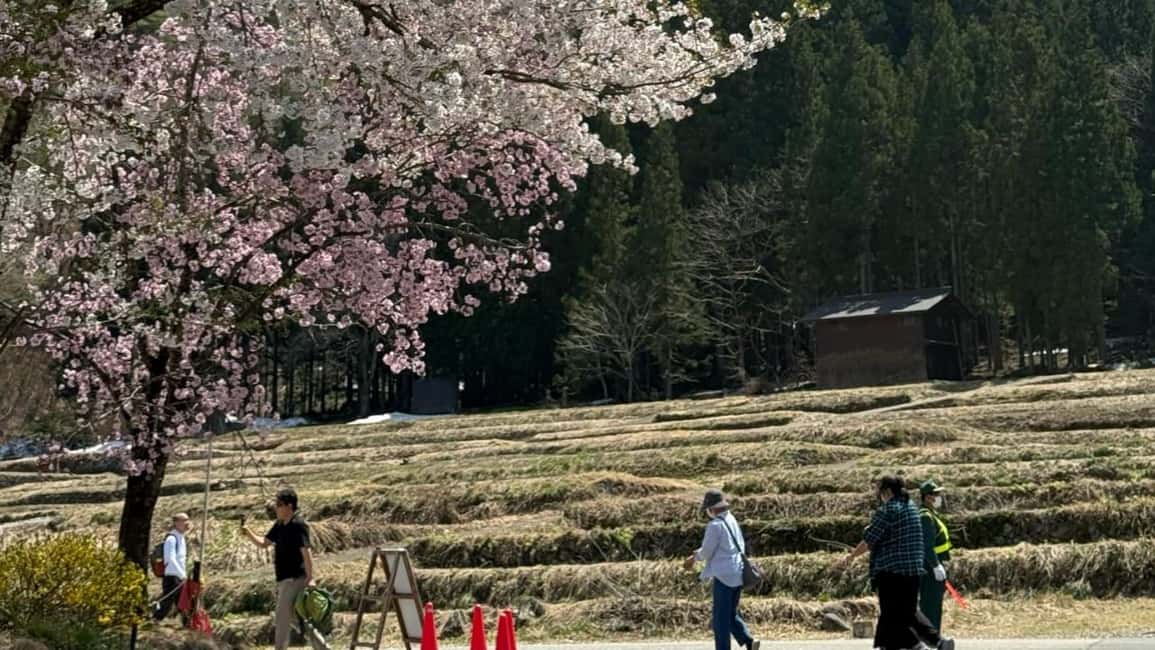 サプライヤーによってアップロードされた、高山の金沢/高山発：白川郷＆高山日帰りツアーの画像#31
