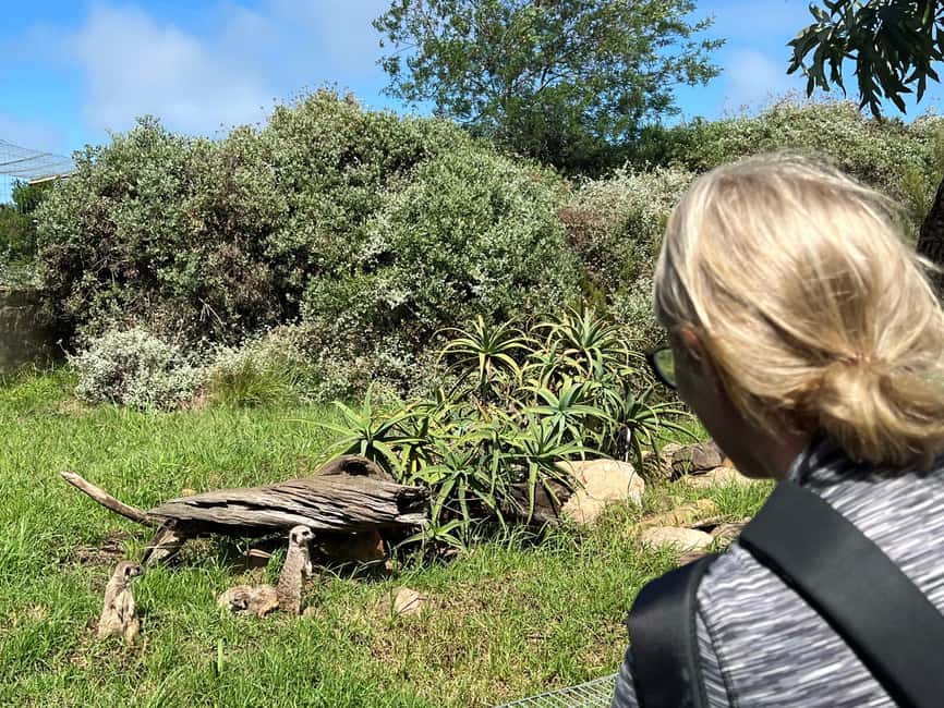image n.7 of Plettenberg Bay: Wild Cat and Wildlife Guided Tour activity in Plettenberg Bay, uploaded by supplier