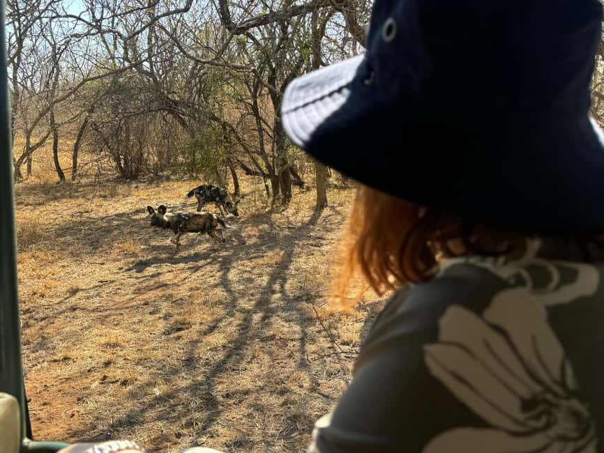 imagem n.2 de De Joanesburgo: Excursão à chita atividade em Pretória, carregada pelo fornecedor