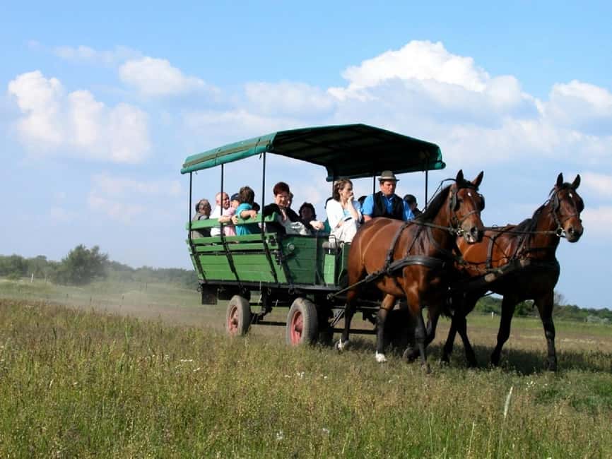 image n.2 of From Budapest: Puszta Horse Show and Countryside Visit activity in Budapest, uploaded by supplier