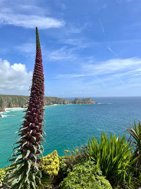 image n.6 of Cornwall: Private Guided Tour activity in Cornwall, uploaded by supplier