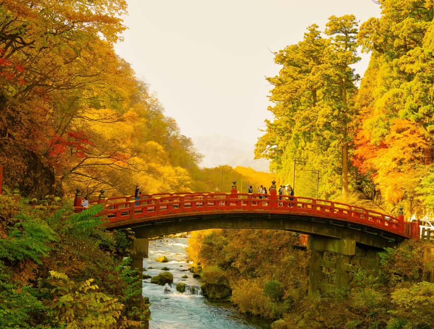Immagine nº 4 di Da Tokyo: Tour privato di 7 giorni di Tokyo, Kyoto, Osaka e Nikko attività a Tokyo, caricata dal fornitore