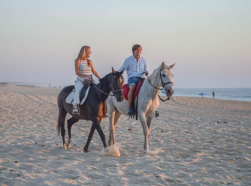 imagem n.16 de Melides: Passeios a cavalo na praia de Melides atividade em Melides, carregada pelo fornecedor