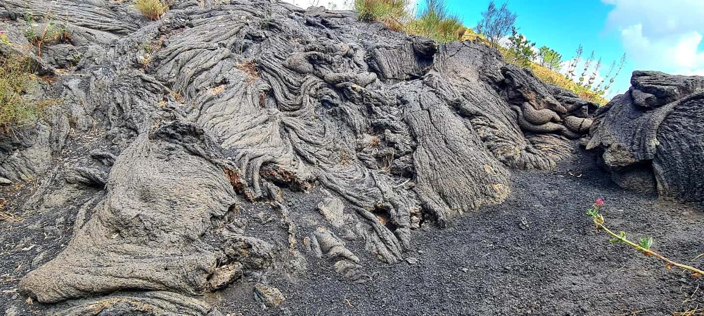 bild nr.11 av Neapel: Pompeji & Vesuvius dagsutflykt med biljetter och lunch aktivitet i Neapel, uppladdad av arrangören
