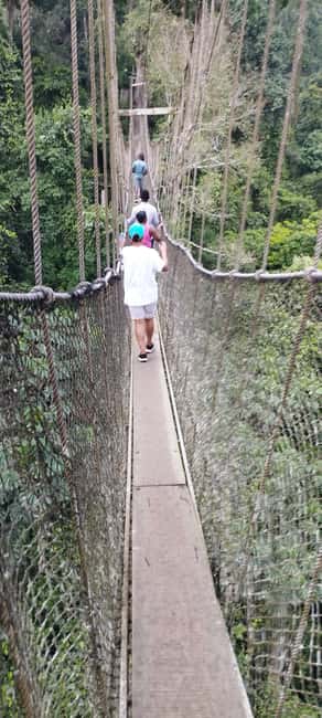 image n.4 of 10 DAYS HISTORY AND ADVENTURE TOUR activity in Accra, uploaded by supplier