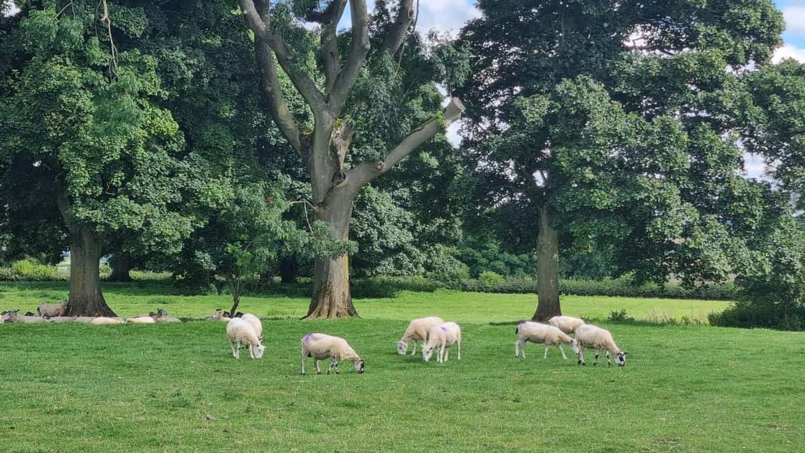 image n.11 of London: Full Day Cotswolds Tour with Shakespeare's Stratford activity in Bibury, uploaded by supplier