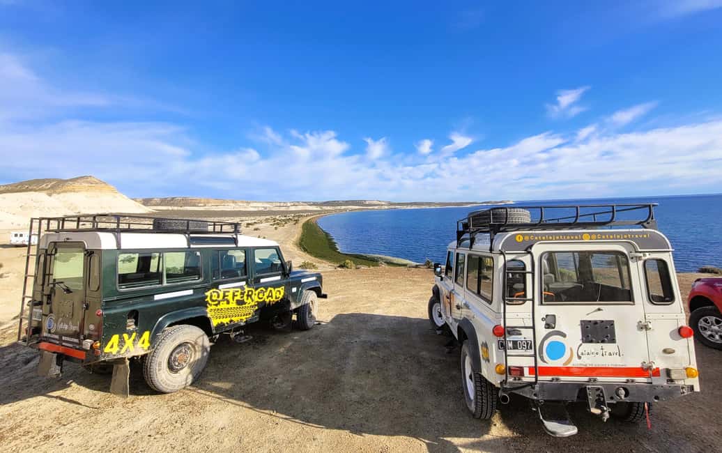 Bild Nr. 21 von PUERTO MADRYN: 4 X 4 ABENTEUER AN DEN SCHÖNSTEN STRÄNDEN ERLEBEN! Aktivität in Puerto Madryn, hochgeladen vom Anbieter