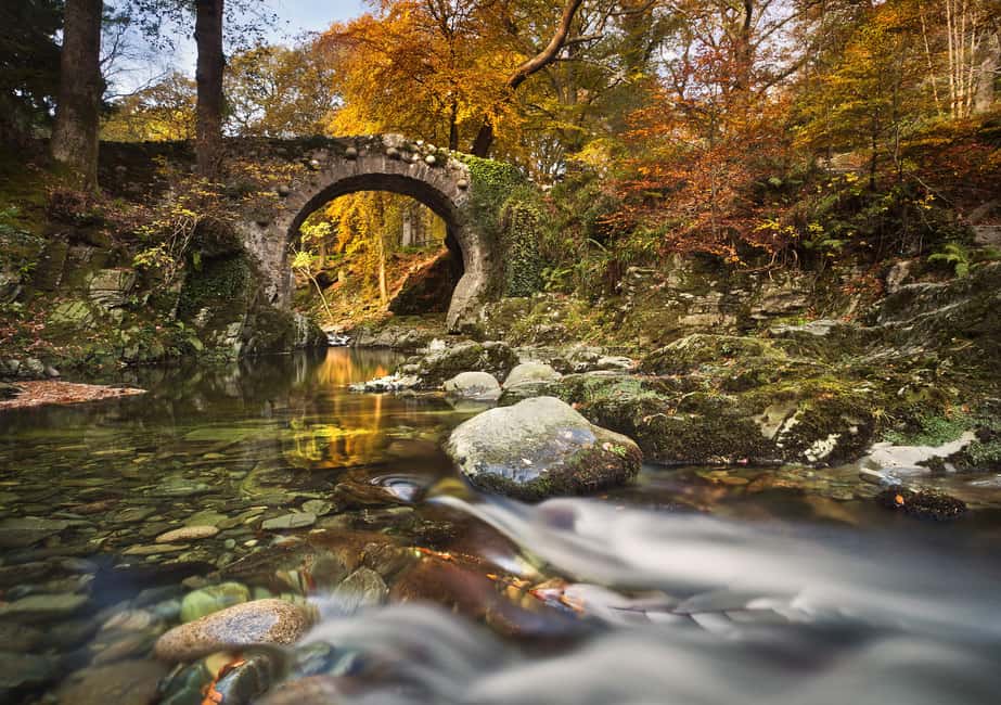 imagem n.9 de Faz uma caminhada pela floresta de Tollymore: Game of Thrones - Caminhada na Floresta de Tollymore atividade em Condado de Down, carregada pelo fornecedor