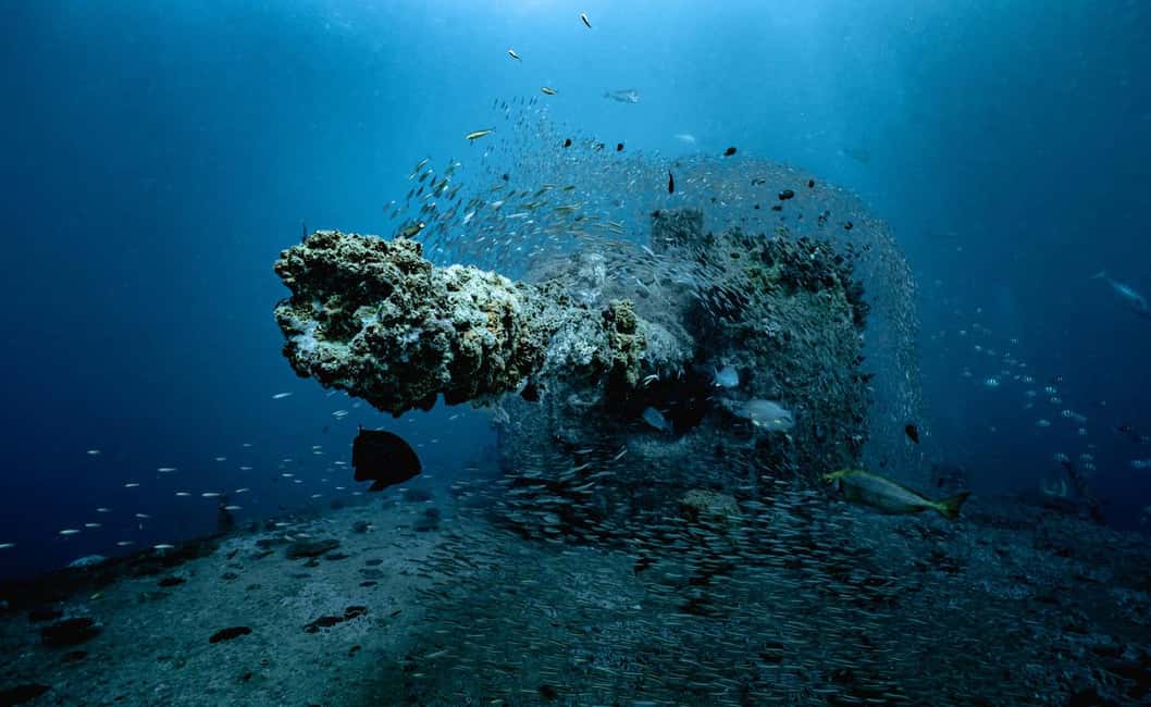 image n.21 of Sunshine Coast: Scuba Dive the Ex-HMAS Brisbane Ship Wreck activity in Sunshine Coast, uploaded by supplier
