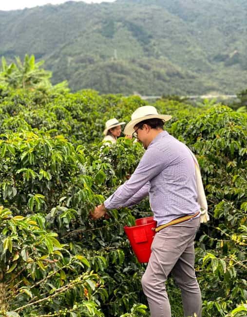 image n.8 of Medellín Coffee Farm Tour with Trolley and Cable Car Ride activity in Medellin, uploaded by supplier