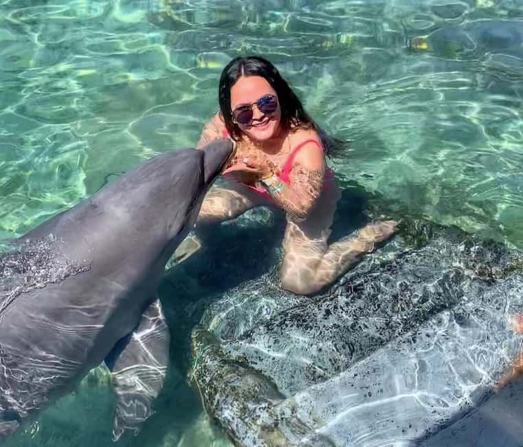 imagem n.7 de Cartagena: 6 paragens nas Ilhas Rosário, Oceanário, almoço e mergulho com snorkel atividade em Cartagena, carregada pelo fornecedor
