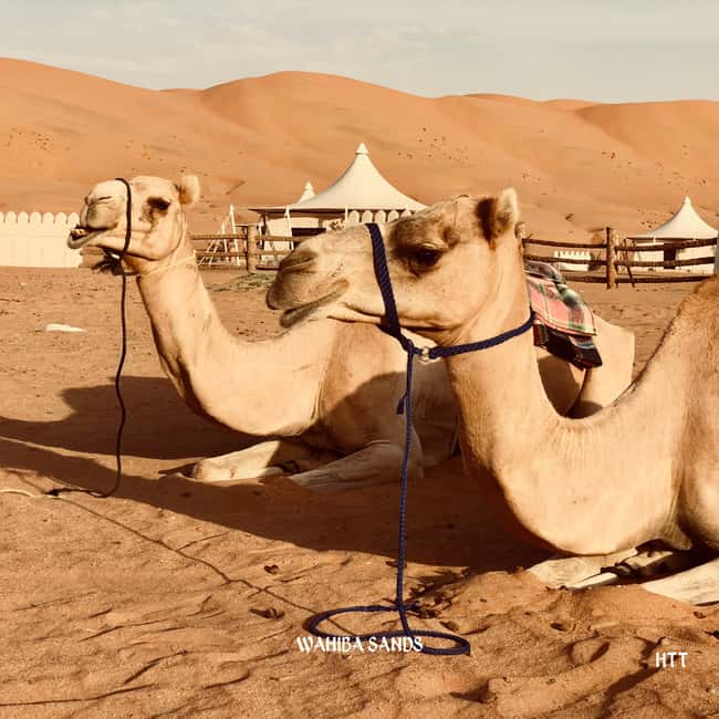 Immagine nº 4 di Muscat: tour di Wahiba Sands e Wadi Bani Khalid attività a Regione al-Sharqiyya, caricata dal fornitore