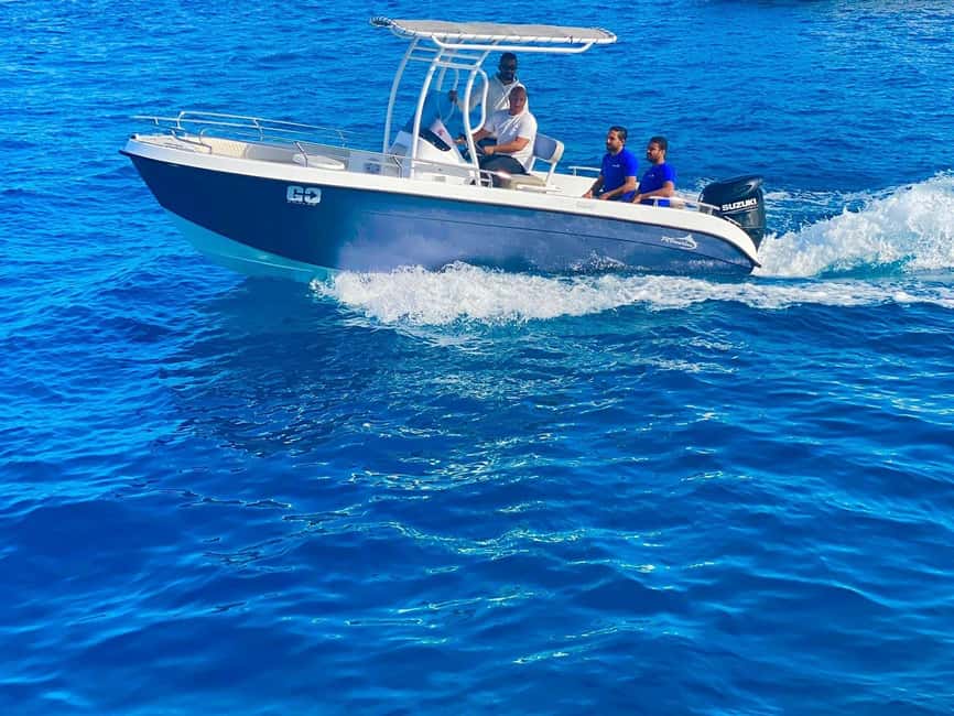 image n.49 of Hurghada: Speedboat Dolphin Watching & Snorkeling with Lunch activity in Red Sea Governorate, uploaded by supplier