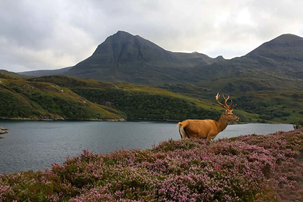 image n.4 of Scotland: Orkney and Northern Coast 5-Day Tour activity in Scottish Highlands, uploaded by supplier