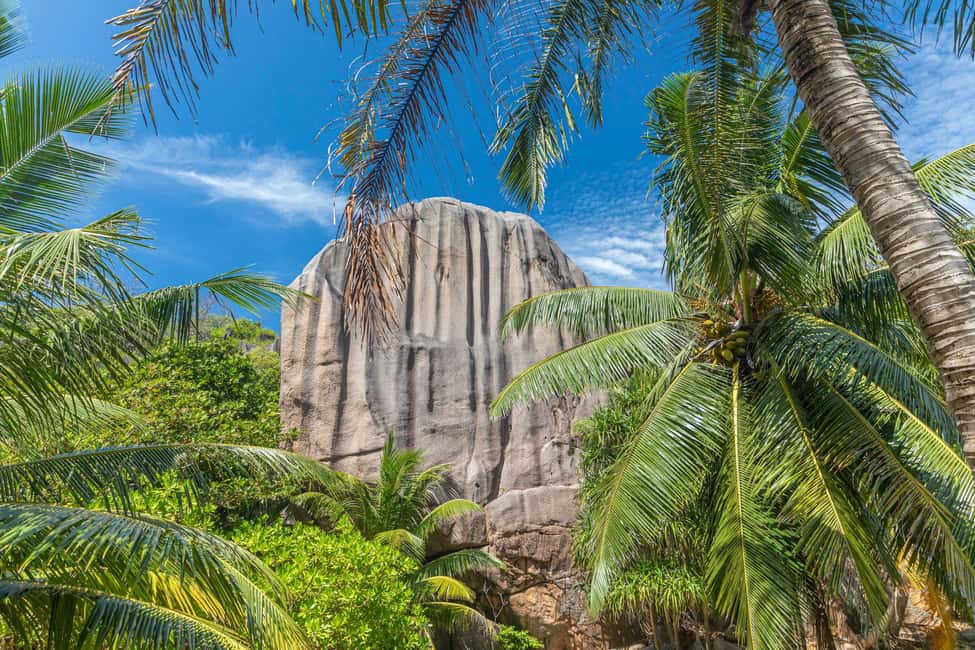 image n.37 of Praslin: Sister & Coco Island Full-Day Cruise and Creole BBQ activity in Mahé, uploaded by supplier