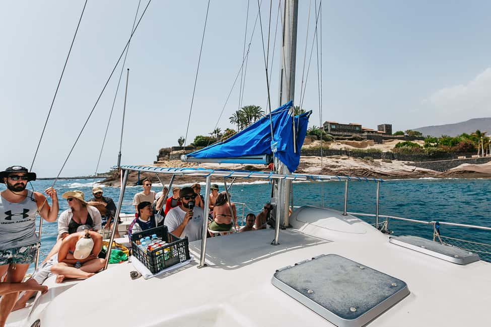 billede nr.21 af aktiviteten Costa Adeje: Hvalsafari med katamaran og drikkevarer i Costa Adeje, uploadet af udbyder