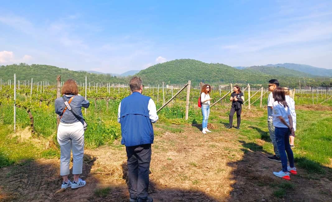 image n.12 of Lake Iseo & Franciacorta Winery. Scenic & Wine Tasting tour activity in Brescia, uploaded by supplier