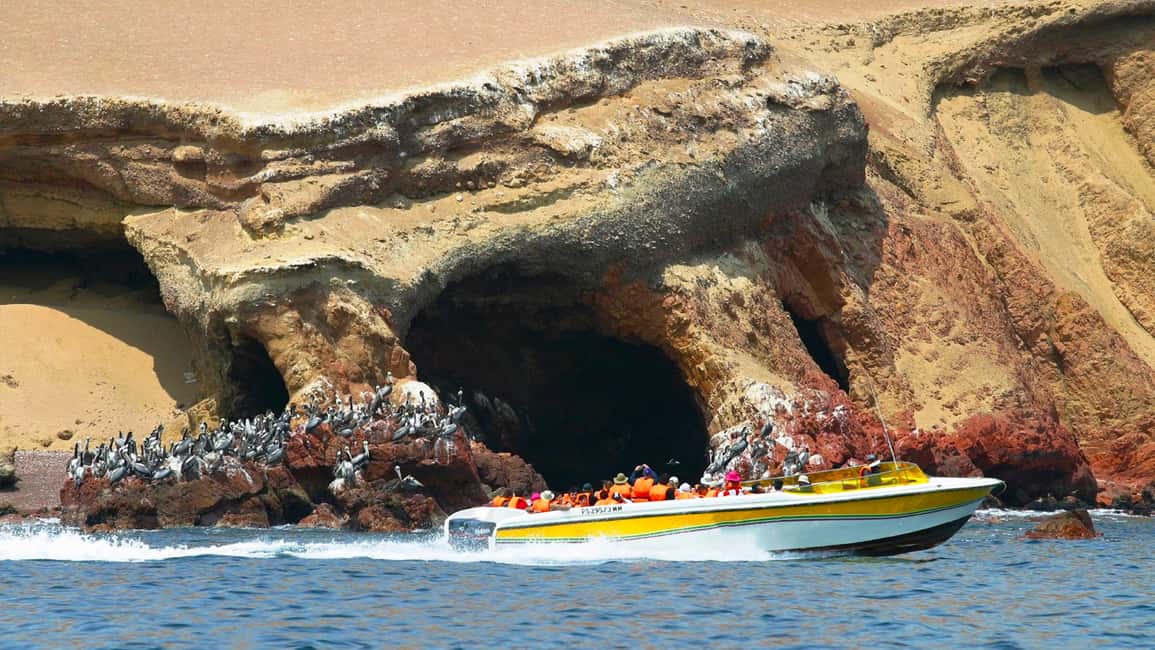 Immagine nº 3 di Lima: volo sulle Linee di Nazca, Paracas e Huacachina - Tour di 2 giorni attività a Paracas, caricata dal fornitore