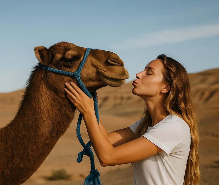 imagen n.º 8 de Marrakech: excursión en quad y paseo en camello por el desierto de Agafay con cena y espectáculo actividad en Marrakech, subida por el proveedor