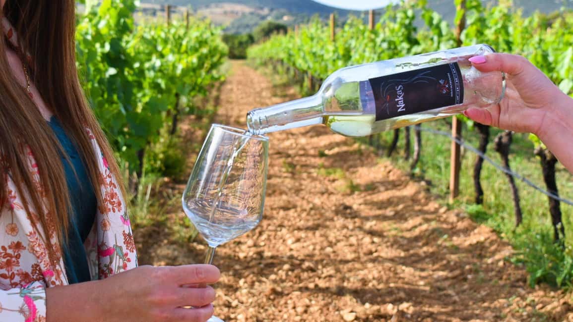 Immagine nº 2 di Alghero: degustazione vini con aperitivo locale in vigna attività a Alghero, caricata dal fornitore