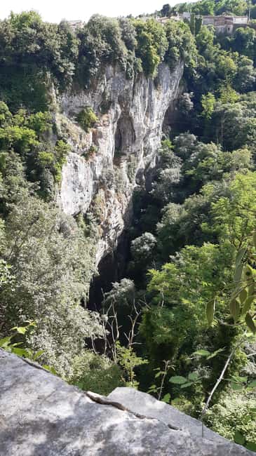 Immagine nº 11 di Istria: tour guidato dell'Istria interna con degustazione di cibo attività a Istarska, caricata dal fornitore