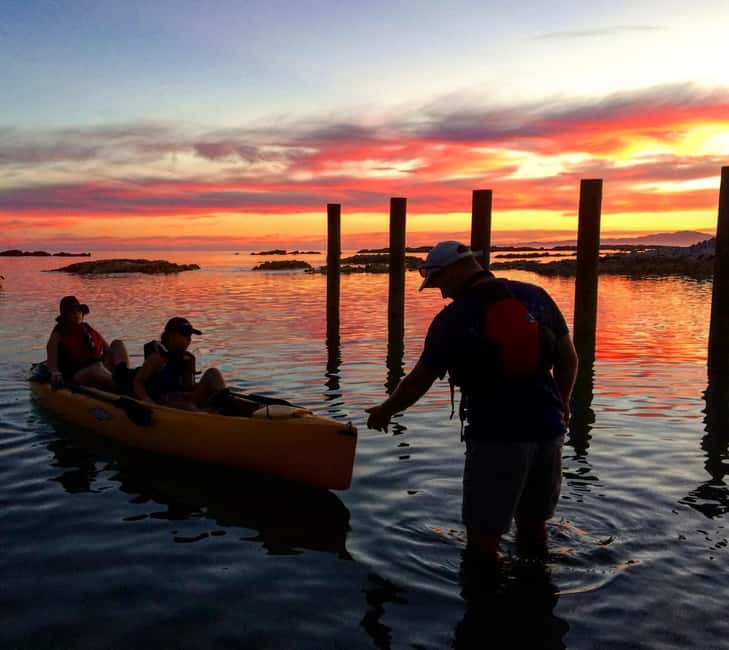image n.7 of Kaikōura: Kayak Sunset Tour with Seal Sightings activity in Kaikoura, uploaded by supplier