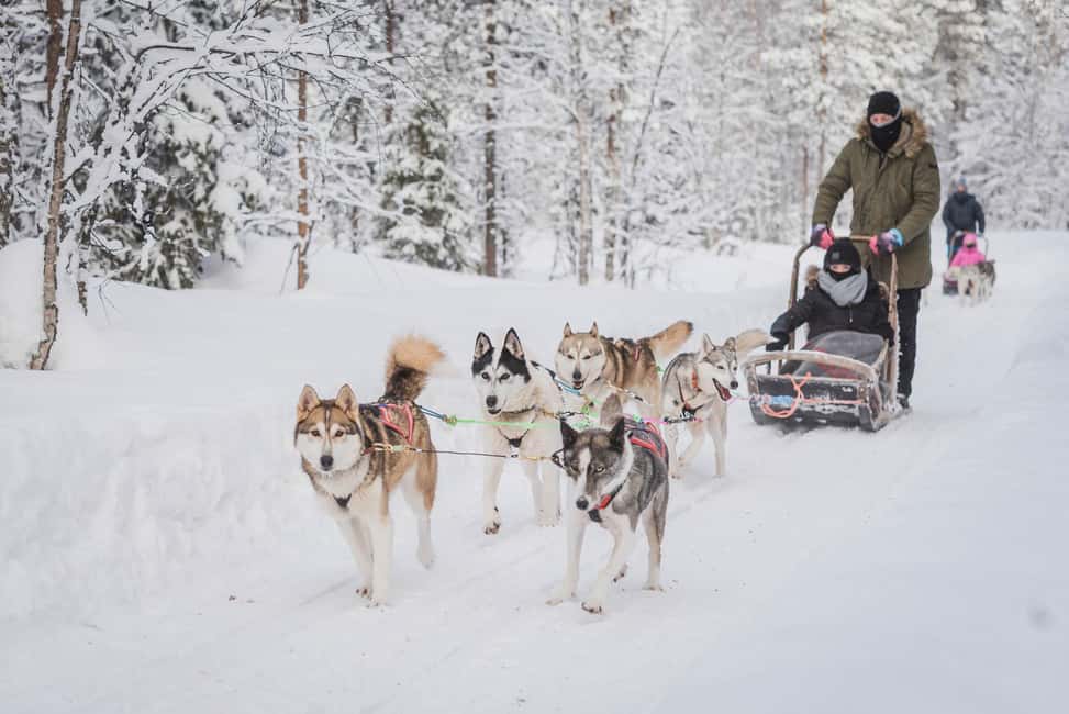 billede nr.1 af aktiviteten Levi: Skovtrolden - To-dages Husky-safari i Sirkka, uploadet af udbyder