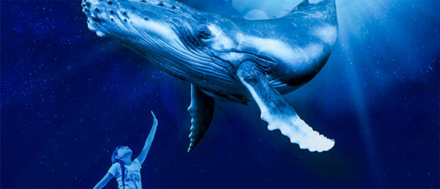 afbeelding n.3 van Mallorca: Toegangbewijs Palma Aquarium met Optionele 3D Bioscoop activiteit in Palma de Mallorca, geüpload door aanbieder