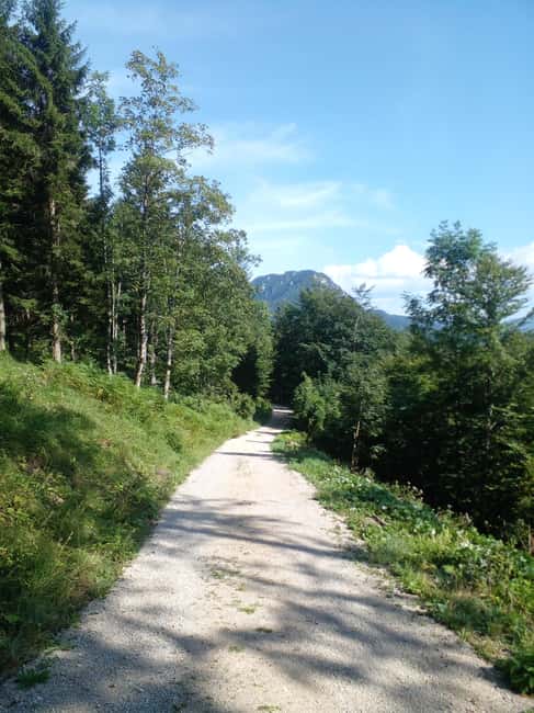Bild Nr. 7 von Alp Mountains Tour Aktivität in Tirol, hochgeladen vom Anbieter