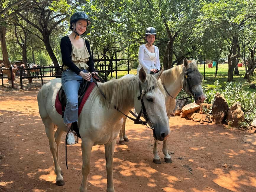 image n.19 of From Johannesburg: Horse-Riding Safari and Cable Car Tour activity in Pretoria, uploaded by supplier