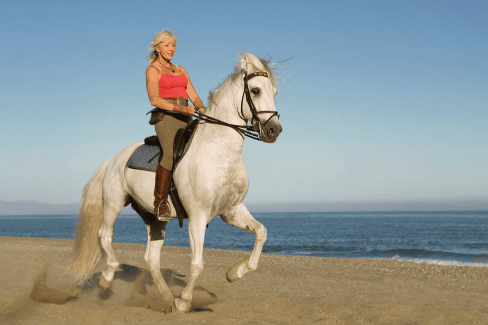 imagen n.º 5 de Casablanca: Paseos a caballo por la playa con traslados al hotel actividad en Tánger, subida por el proveedor