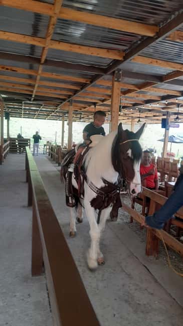 image n.4 of Tour Privado: Guatape Piedra Replica Peñol Alto Chocho Barco activity in El Peñol, uploaded by supplier