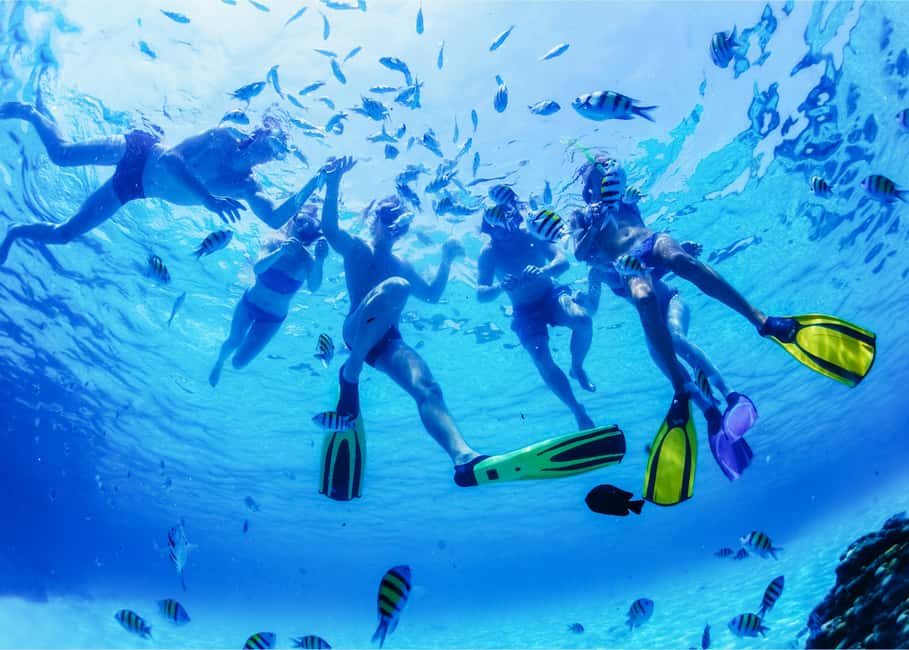 image n.9 of Puerto del Carmen: Dolphin-Watching Speedboat Tour with Swim activity in Puerto del Carmen, uploaded by supplier