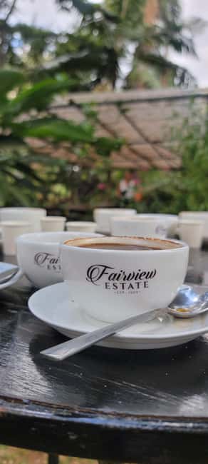 image n.27 of Coffee Farm Tour (Fairview) activity in Kiambu, uploaded by supplier
