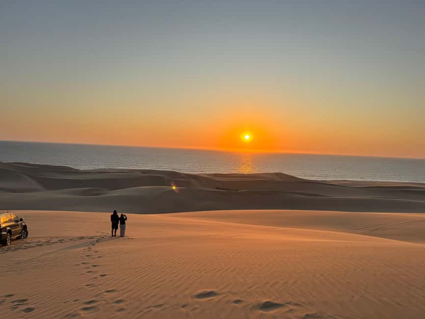 image n.28 of Walvisbay: Sandwich Harbour 4x4 Tour-Unparalleled Experience activity in Erongo, uploaded by supplier