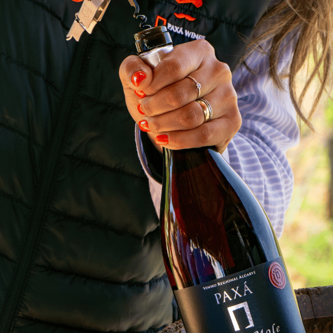 image n.31 of From Albufeira: Full-Day Wine Tasting Tour with a Guide activity in Monchique, uploaded by supplier