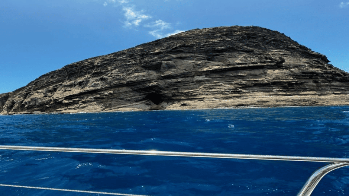 image n.5 of 3 Islands Private Speedboat w/ Lunch & Snorkeling Sea Turtle activity in Mauritius, uploaded by supplier
