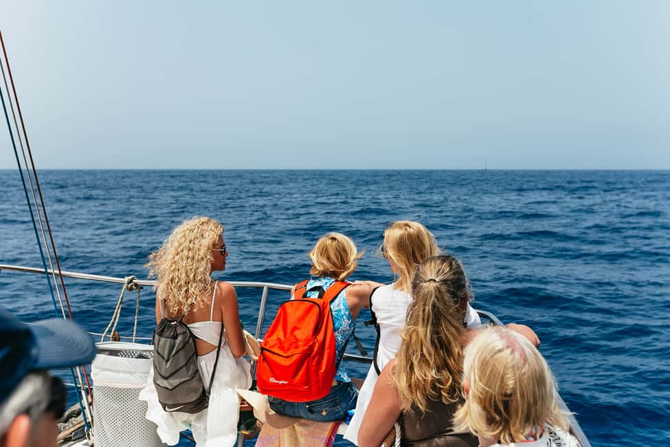 billede nr.18 af aktiviteten Costa Adeje: Hvalsafari med katamaran og drikkevarer i Costa Adeje, uploadet af udbyder