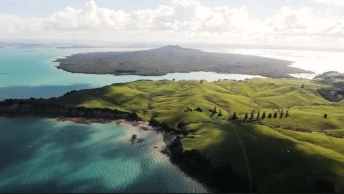 billede nr.10 af aktiviteten Auckland: Waiheke Island Vin- og madsmagning med flyrejser i Auckland, uploadet af udbyder