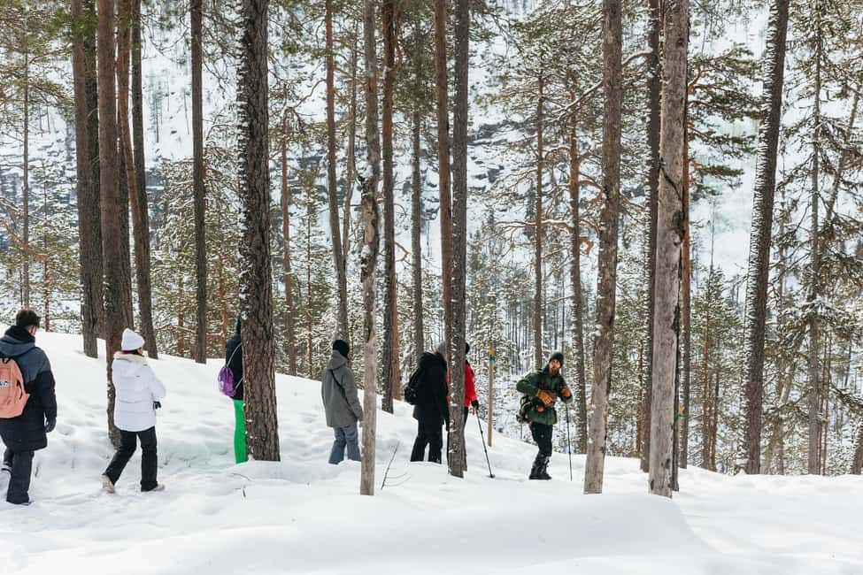 image n.11 of From Rovaniemi: Korouoma Canyon and Frozen Waterfalls Tour activity in Lapland, uploaded by supplier