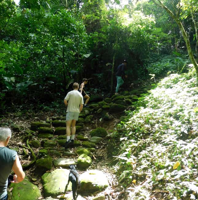 imagem n.5 de Caminhada alternativa de 3 dias na Cidade Perdida atividade em Santa Marta, carregada pelo fornecedor